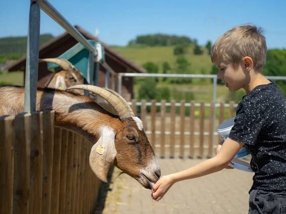 Farmapark Soběhrdy zvířata