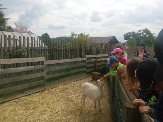 VÝLET KONĚPRUSY – DIVADLO „ŠUS“ -ČERVENÁ KARKULKA“, TVOŘIVÉ DÍLNIČKY, ZOOPARK CHYŇAVA | Mateřská škola Pozdeň