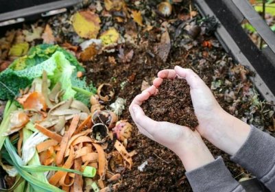 Kompost není všelék, musí se s ním zacházet opatrně (Zdroj: Shutterstock)
