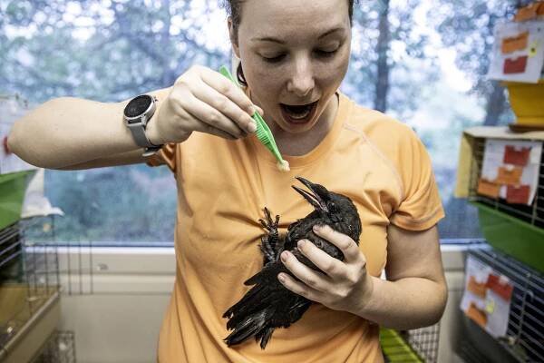 Fotograf Seznam Zpráv Michal Turek je jedním z vítězů Czech Nature Photo 2023