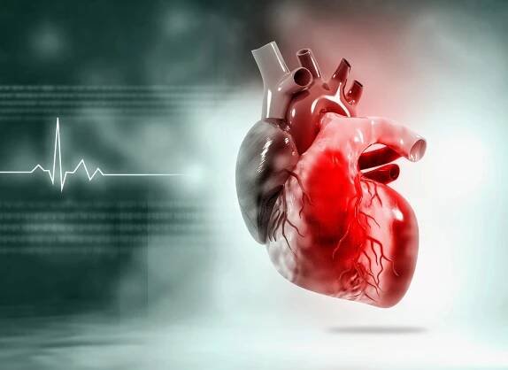 Heart muscles may soon be able to regenerate like other muscles