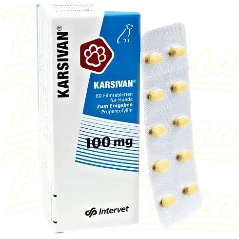 Karsivan 100mg tbl.60x100mg