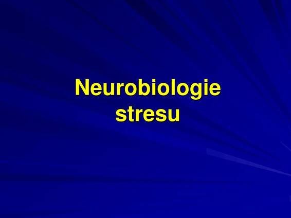PPT - Psychofyziologie stresu a jeho prevence PowerPoint Presentation, free download - ID:4753176