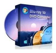 DVDFab Blu-ray to DVD Converter - předplatné na 1 rok