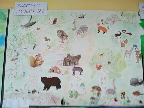 PROJEKT ŠKOLNÍ DRUŽINY – EKOSYSTÉM | Základní škola Čelákovice