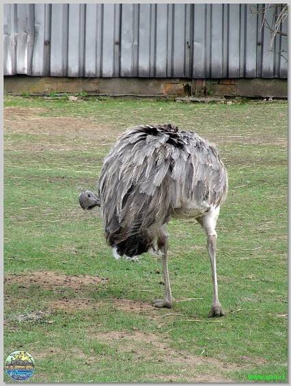 Zoopark Stěžery