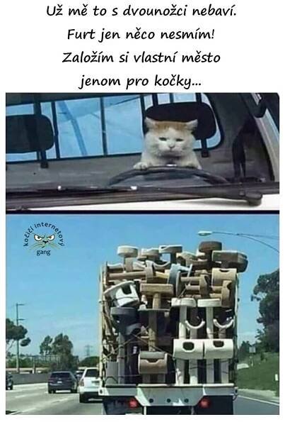 tak trochu vyzobaná slunečnice: čas na úsměv