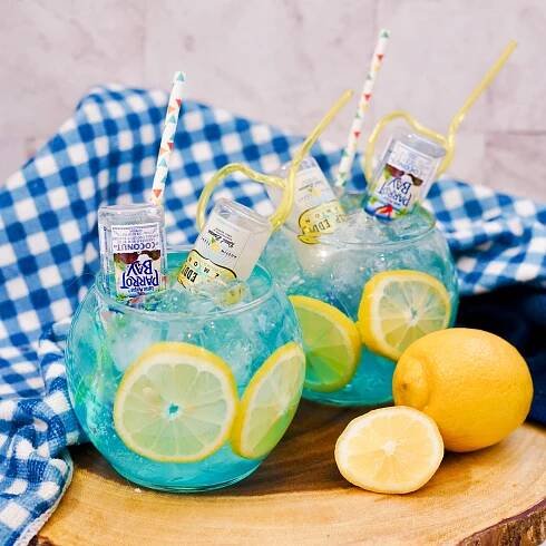 electric lemonade bowl drink