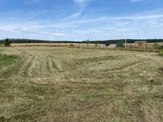 Prodej stavebního pozemku Písek, Borečnice - 45 min od Prahy