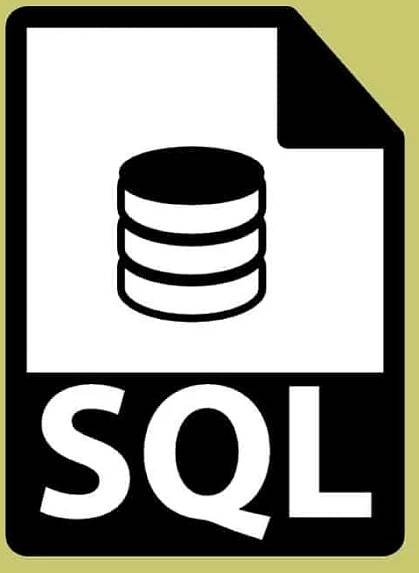 SQL - Top Web Programming Languages