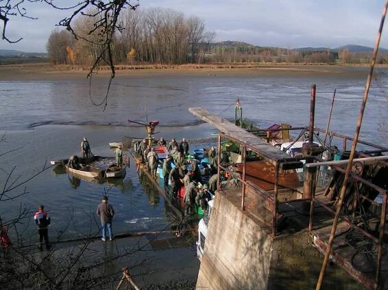 Výlov rybníka ve Smrkovci 10.11.2006