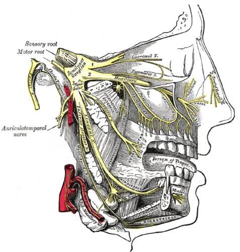 Neuralgie trojklaného nervu