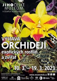 Výstava orchidejí, exotických rostlin a zvířat (UŽ JEN DO NEDĚLE!) - Jihočeské muzeum v Českých Budějovicích