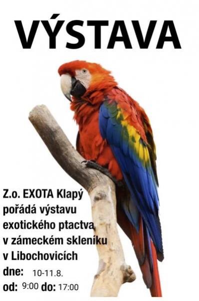 Přehled ptačích burz a výstav pro víkend 9. až 11. srpna 2019 – Ararauna.cz