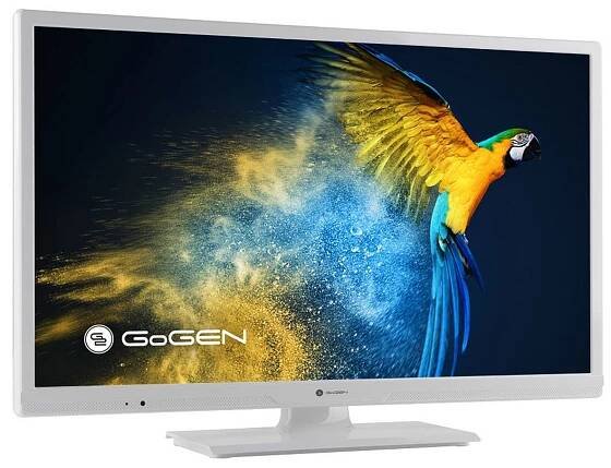 Televize GoGEN TVH 24R540 STWEBW | DATART