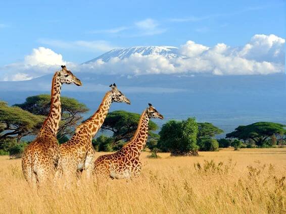 Kenya