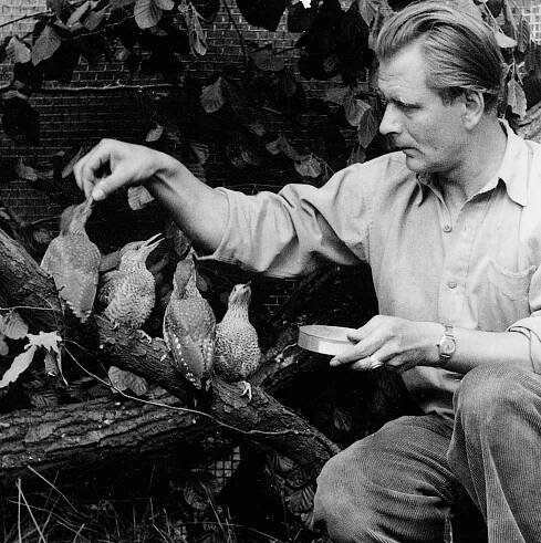 Heinz Sielmann | Der Tierfilmer