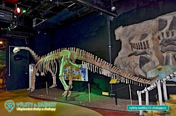 DinoPark Plaza Liberec (6CZ-015): Výlety a zážitky