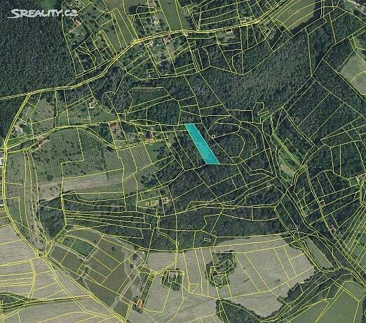 Prodej  lesa 2 975 m², Stříbrnice, okres Uherské Hradiště