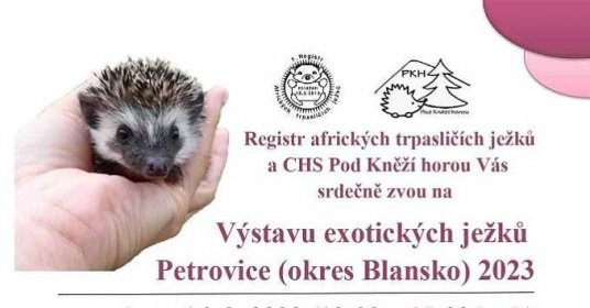 1. Mezinárodní výstava exotických ježků Petrovice (okres Blansko) 2023, Petrovice, sobota 16.9.2023