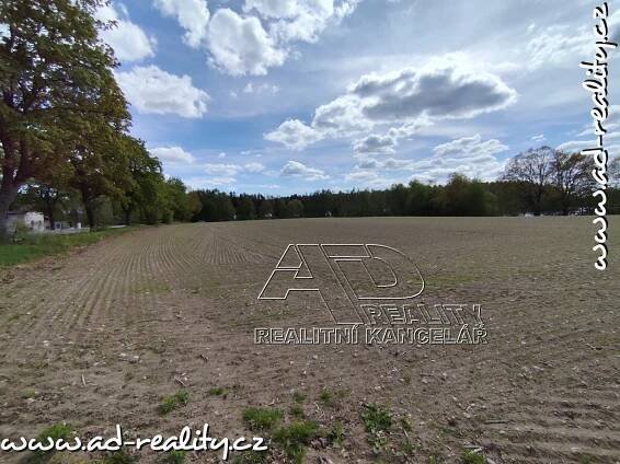 Prodej Pozemek, Olešnice, okres České Budějovice