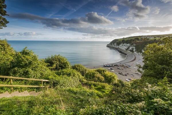 panoramatický výhled na pivní vesnici v devonu, velká británie - devon coast - stock snímky, obrázky a fotky