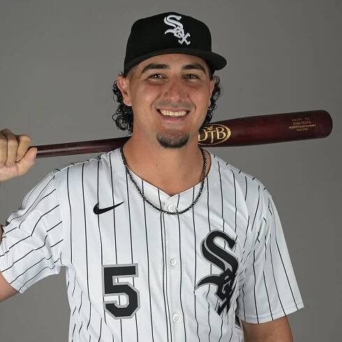 White Sox reinstate Josh Rojas from IL, DFA Bobby Dalbec