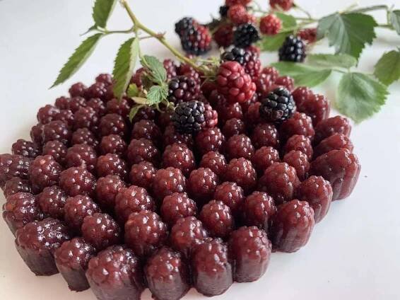Raspberry Blackberry - Obrázek 16
