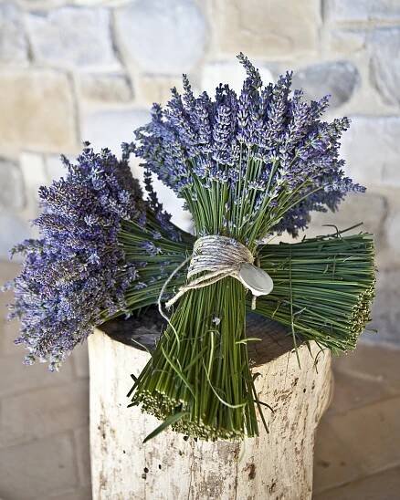 Doorways Villa Vacations | Villa Sogno | A Vacation Rental in Umbria | Doorways Villa Vacations 
