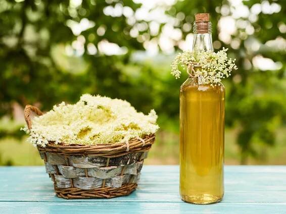 Super recepty z květů bezu: sirup, zmrzlina i gin & tonic | Slevomat.cz