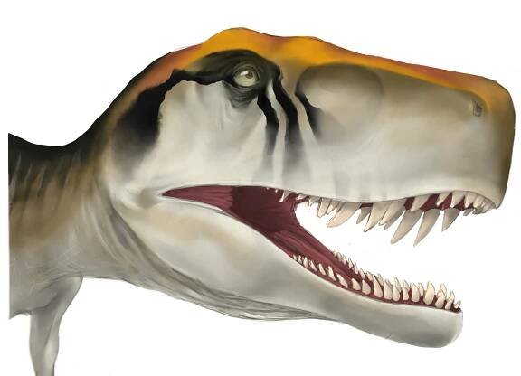 Early dinosaurs grew up fast, but fossil analysis suggests they weren't the only ones