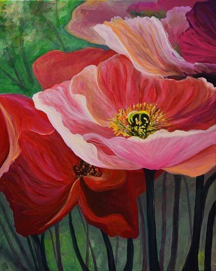 Poppies of Oz