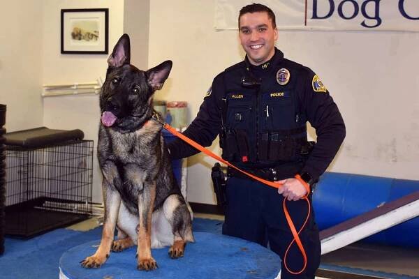 Police Officer and Dad Dies at 35 After Bee Sting Leads to Brain Injury: 'Please Watch Over Us,' Says Wife