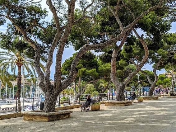 Urlaub in Porto Cristo: Sehenswürdigkeiten & Ausflüge