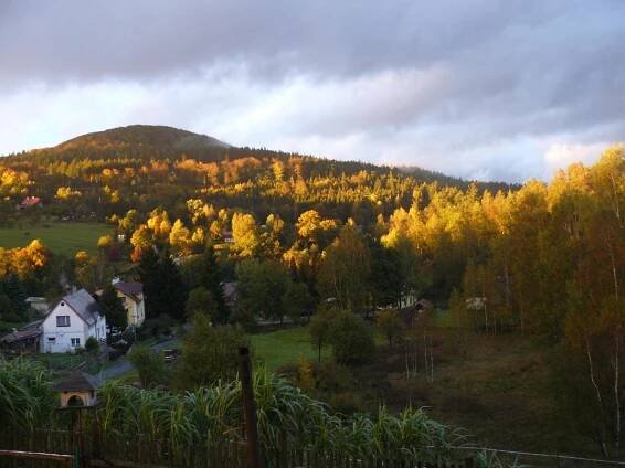 a house on a hill with a forest of trees at Pension Helene s mini pivovarem in Kytlice