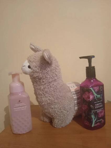 Enchanted Candy Potion Bath & Body Works pro ženy