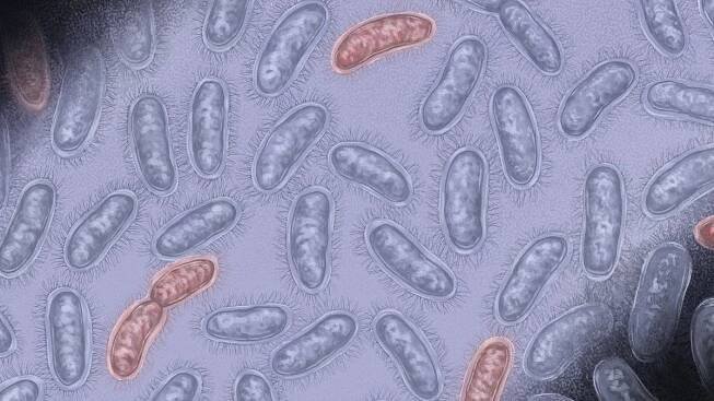 Medicine - News and Scientific Articles on Live Science - Page 6 | Live Science