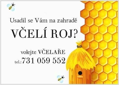 Usadil se Vám na zahradě velí roj? Volejte včelaře 731 059 552