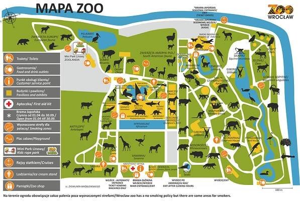 Wrocław ZOO | Zoolandia, Parki linowe dla dzieci