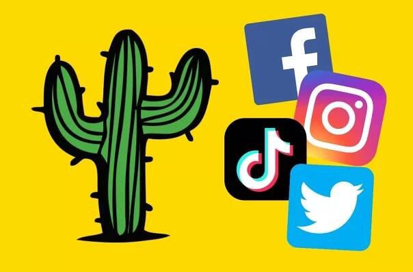 Kaktus Neřešto: Nově tarify s volnými daty na sociální sítě