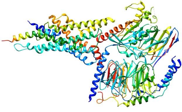 Glucagon-like peptide-2 receptor