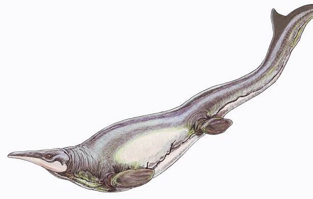 These Prehistoric Sea Monsters Had a Mean Breast Stroke