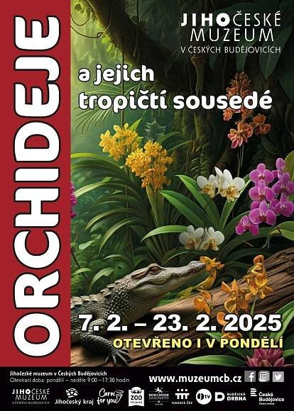 Orchidea klub Brno - Aktuality