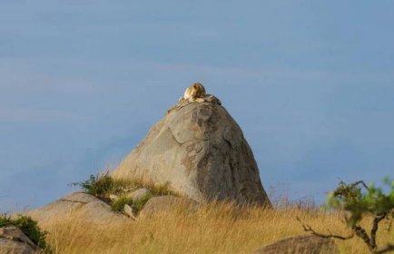 Africa: Northern Serengeti — PaulStamatiou.com