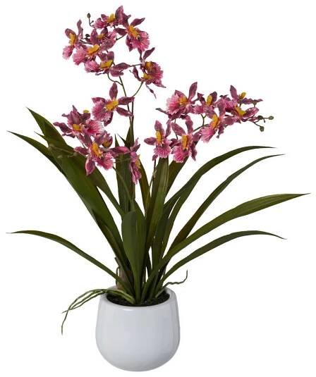 Květiny | Orchidej Gambia růžová v květináči, 50cm | Umělé květiny, stromy, palmy a květináče | UmeleKvetiny-shop.cz