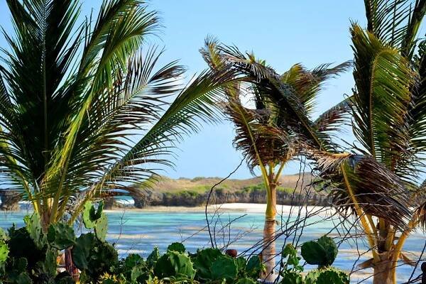 Watamu, a paradise to discover - The beaches, nature, history and welcoming people
