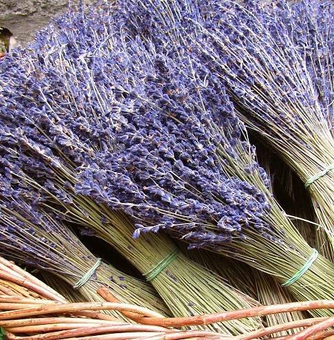 Best Flowers and Methods for Drying – Garden Crossings