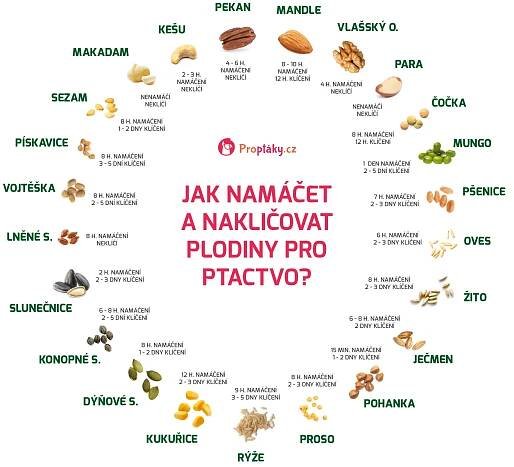 návod pro klíčení semen