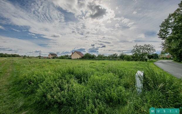 Pozemky | Musil Reality