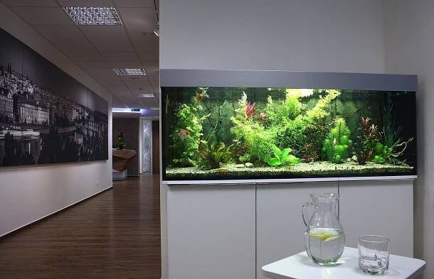 Akvárium na míru 300L